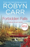 Forbidden Falls book summary, reviews and downlod