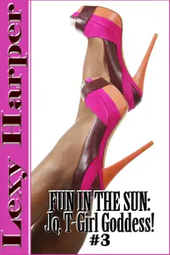 fun in the sun book cover image