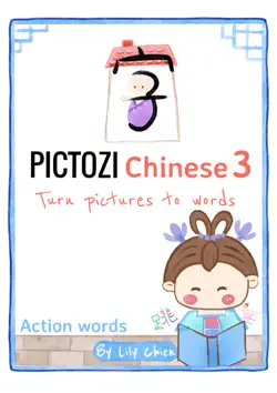 pictozi chinese 3 book cover image
