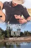 A Promise of Home synopsis, comments