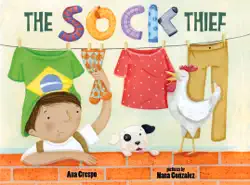 the sock thief book cover image