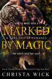 Marked by Magic synopsis, comments