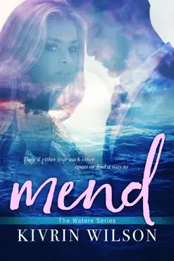 mend book cover image