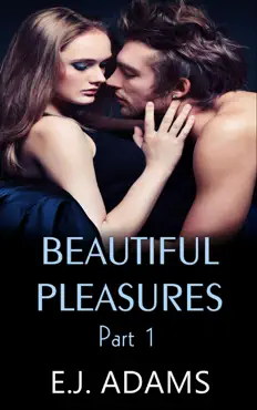 beautiful pleasures part 1 book cover image