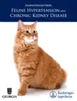 Feline Hypertension and Chronic Kidney Disease synopsis, comments