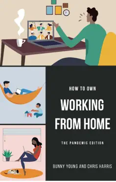 how to own working from home book cover image