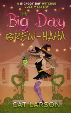 the big day brew-haha book cover image