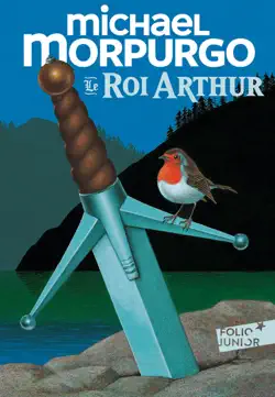 le roi arthur book cover image