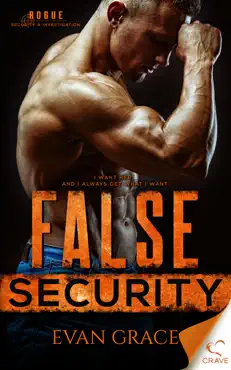 false security book cover image
