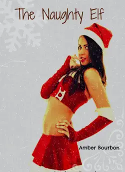 the naughty elf book cover image