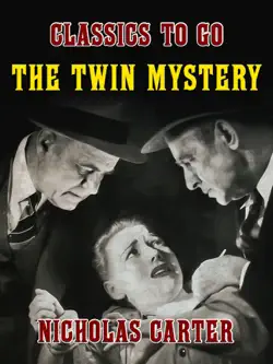 the twin mystery book cover image