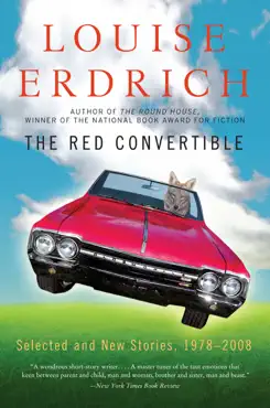 the red convertible book cover image
