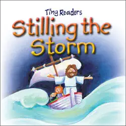 stilling the storm book cover image