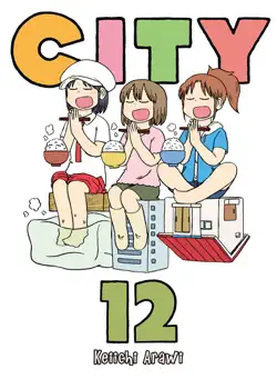 city, volume 12 book cover image