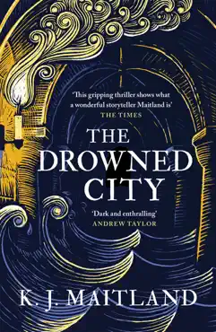 the drowned city book cover image