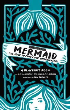 the little mermaid book cover image