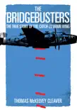 The Bridgebusters synopsis, comments