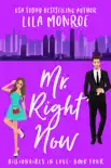 Mr Right Now synopsis, comments