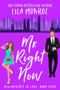 mr right now book cover image