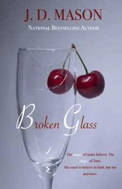 broken glass book cover image