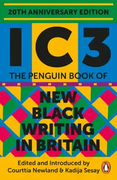 ic3 book cover image
