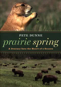 prairie spring book cover image