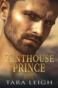 penthouse prince book cover image