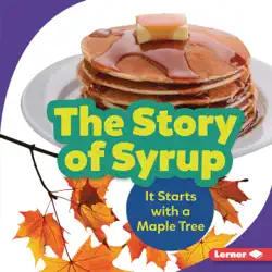 the story of syrup book cover image