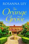 The Orange Grove synopsis, comments