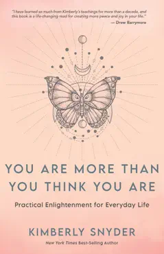 you are more than you think you are book cover image