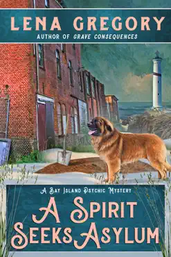 a spirit seeks asylum book cover image