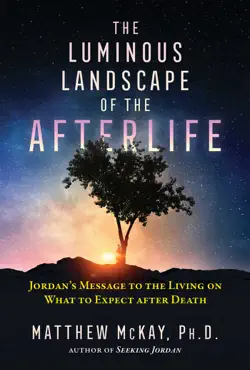 the luminous landscape of the afterlife book cover image