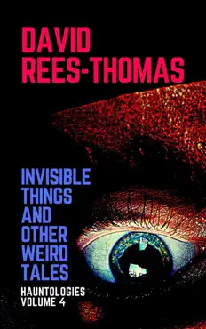 invisible things and other weird stories imagen de la portada del libro