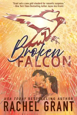broken falcon book cover image