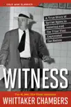 Witness synopsis, comments
