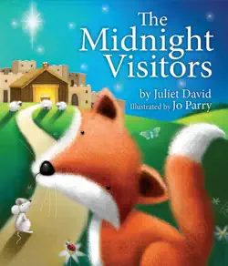 the midnight visitors book cover image