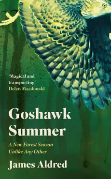 goshawk summer book cover image