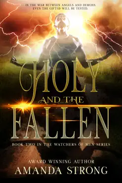 holy and the fallen book cover image