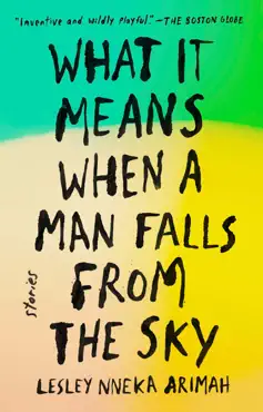 what it means when a man falls from the sky book cover image