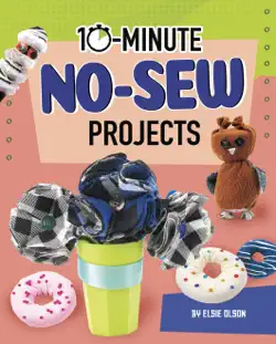 10-minute no-sew projects book cover image
