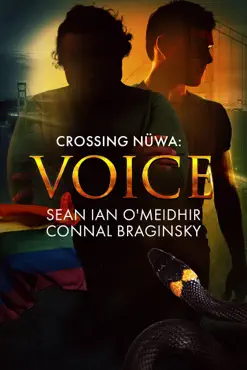 voice book cover image