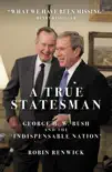 A True Statesman synopsis, comments