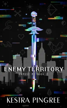 enemy territory book cover image