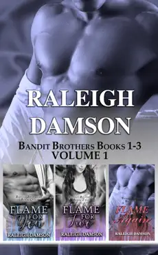 bandit brothers books 1-3 vol 1 book cover image