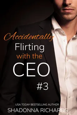accidentally flirting with the ceo 3 book cover image
