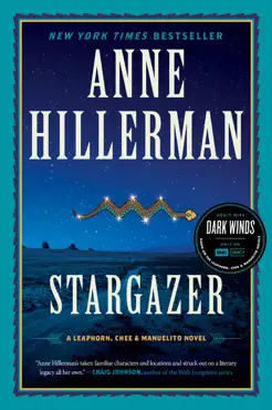 stargazer book cover image