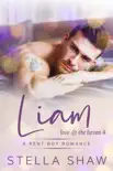 Liam, Love at the Haven 4 synopsis, comments