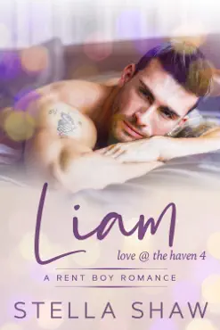 liam, love at the haven 4 book cover image