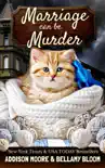Marriage can be Murder synopsis, comments