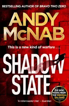 shadow state book cover image